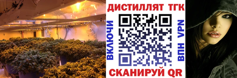 ТГК концентрат  Купить закладки  Цимлянск 