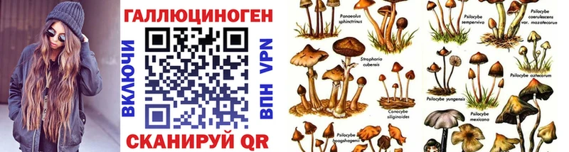 Купить где  Цимлянск  Псилоцибиновые грибы ЛСД 